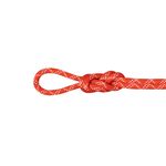 Mammut Gym Classic 9.5mm Climbing Rope Raspberry / White
