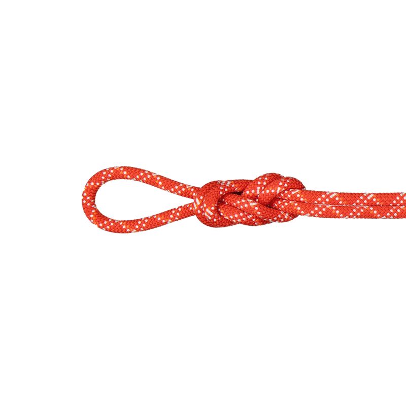 Mammut Gym Classic 9.5mm Climbing Rope Raspberry / White