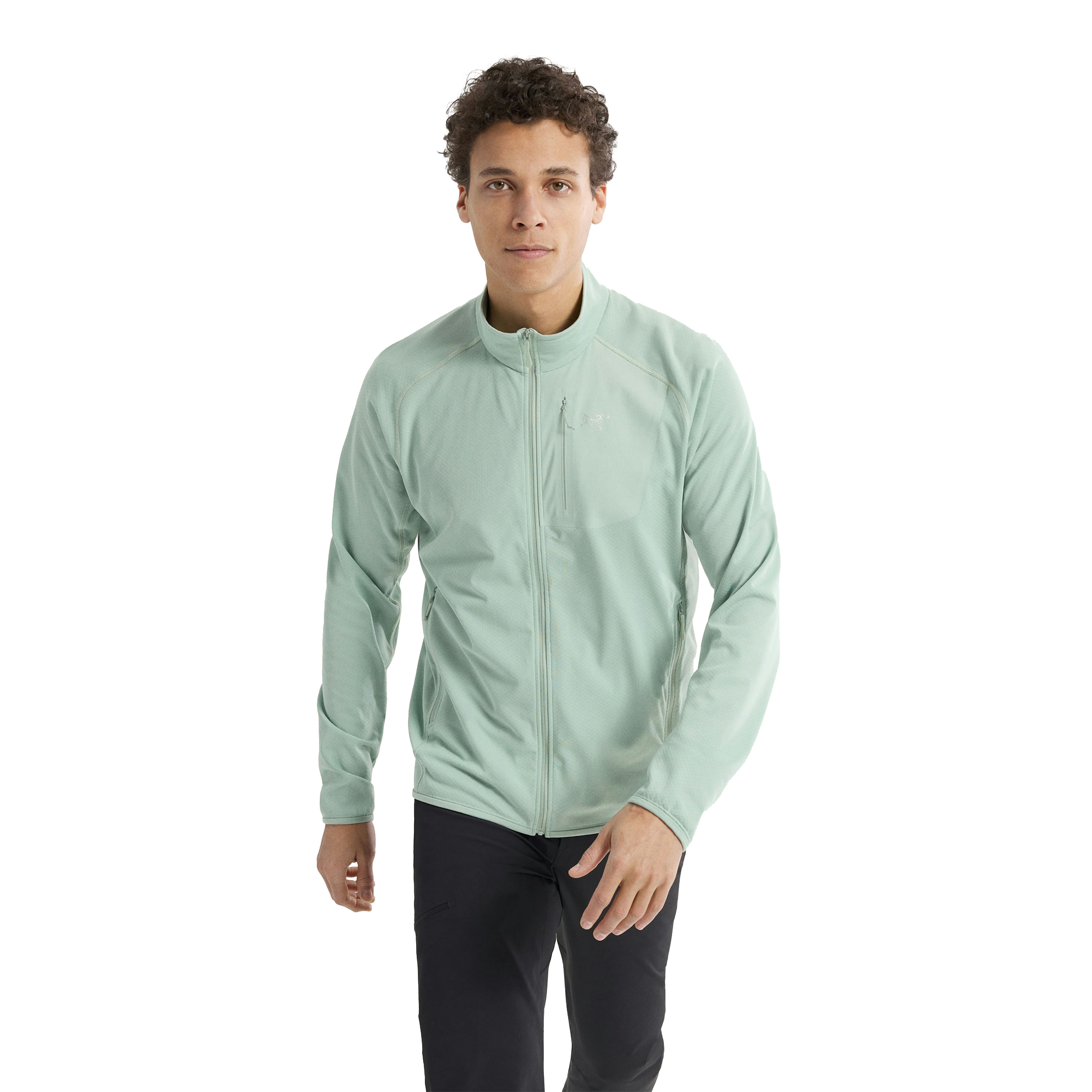 /arcteryx-delta-jacket-mens-10575708/p?skuId=3061198