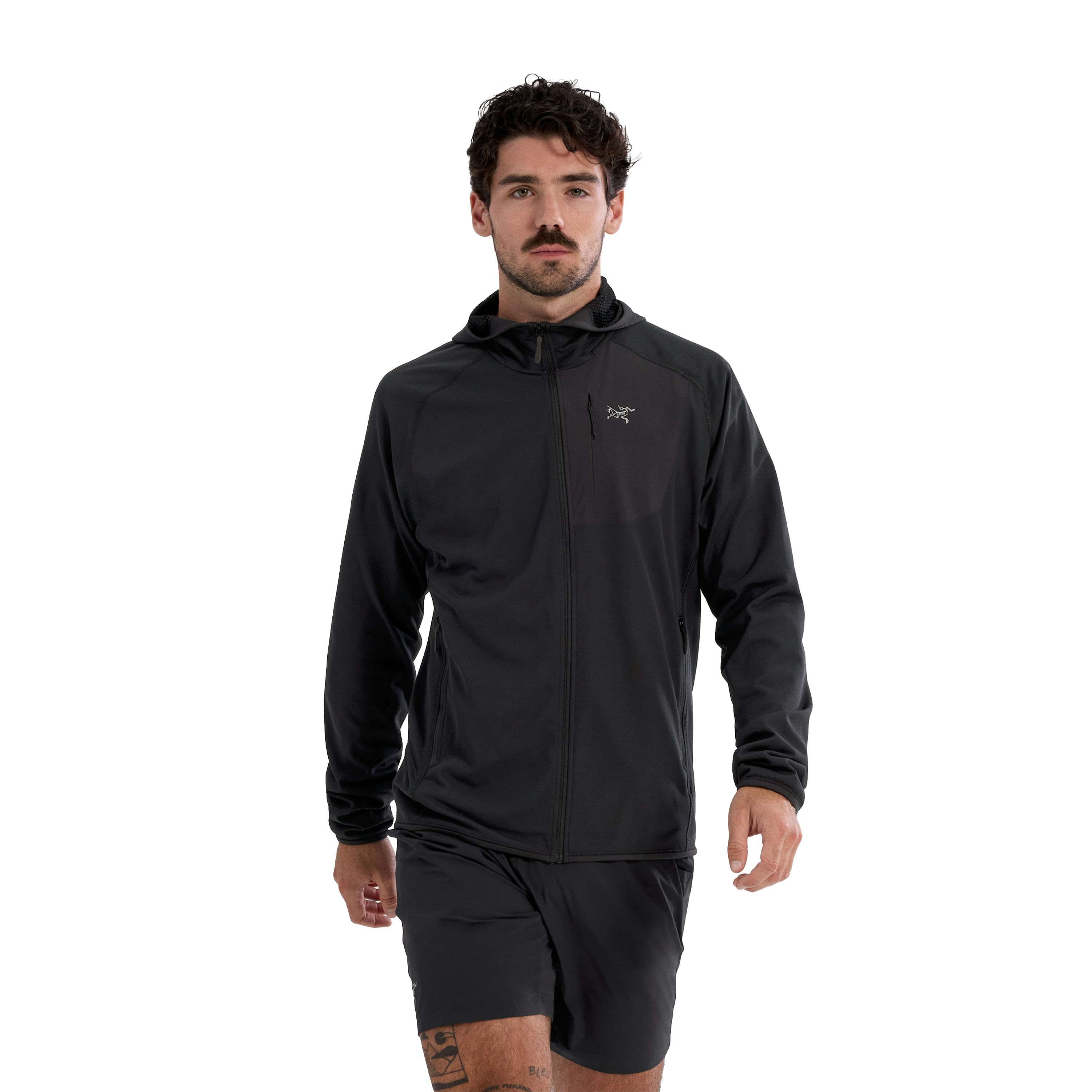 /arcteryx-delta-hoodie-mens-10609099/p?skuId=3061263