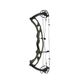 Hoyt RX-9 Ultra Compound Bow Wilderness / Black