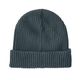 Patagonia Fisherman's Rolled Beanie Nouveau Green