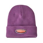 Patagonia Logo Beanie - Youth Oval Logo / Brisk Purple