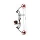 Cajun Bowfishing Shore Runner EVS Bow Black / Red