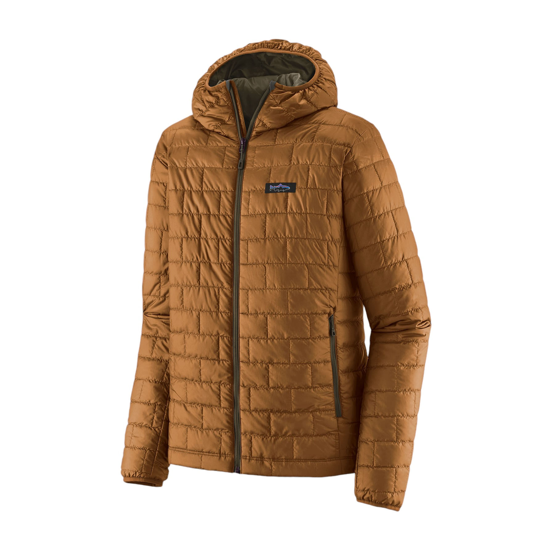 /patagonia-nano-puff-fitz-roy-trout-hoodie-mens-10494818/p?skuId=1617133