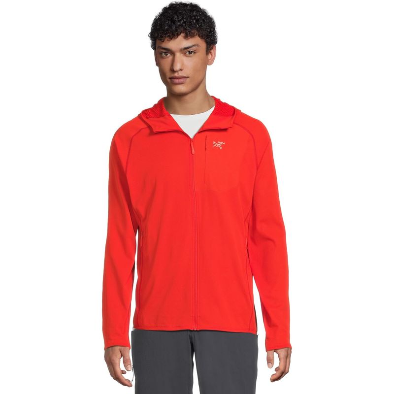 Arc'teryx Delta Hoodie - Men's Dynasty