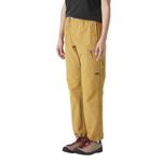 Picture-Shooner-Stretch-Pant---Women-s-Dijon