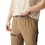 Picture-Shooner-Stretch-Pant-Partridge