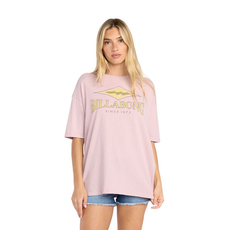 Billabong-Since-73-Short-Sleeve-Tee---Women-s-Haze