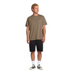 Billabong-No-Vacancy-Premium-T-Shirt-Brown