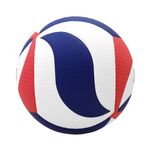 Molten-USA-NCAA-FLISTATEC-Volleyball-Red---White---Blue