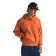 The North Face Evolution Vintage Hoodie - Men's Iron Bronze