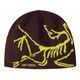 Arc'teryx Bird Head Toque Phantasm / Euphoria