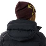 Arc-teryx-Bird-Head-Toque-Phantasm---Euphoria