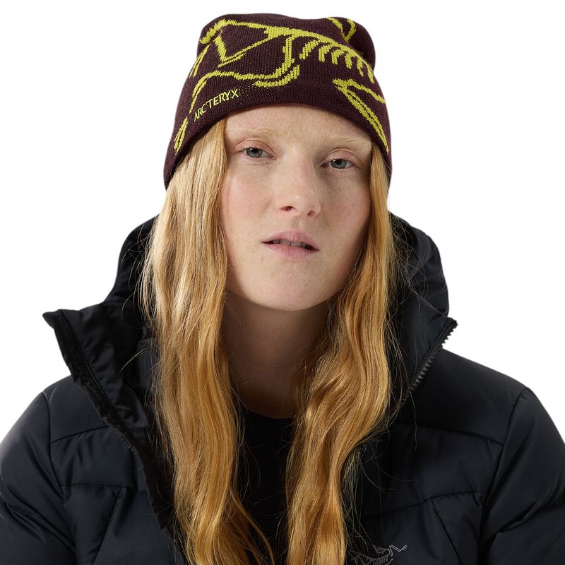 Arc-teryx-Bird-Head-Toque-Phantasm---Euphoria