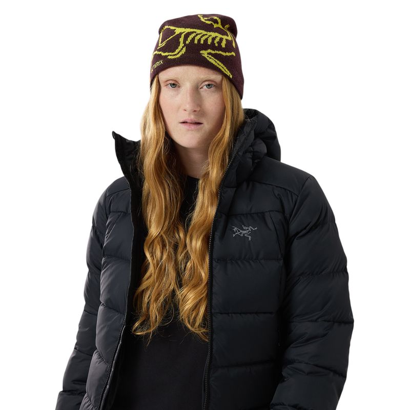 Arc-teryx-Bird-Head-Toque-Phantasm---Euphoria