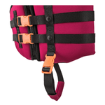 Ronix Laguna CGA Life Vest - Youth.jpg