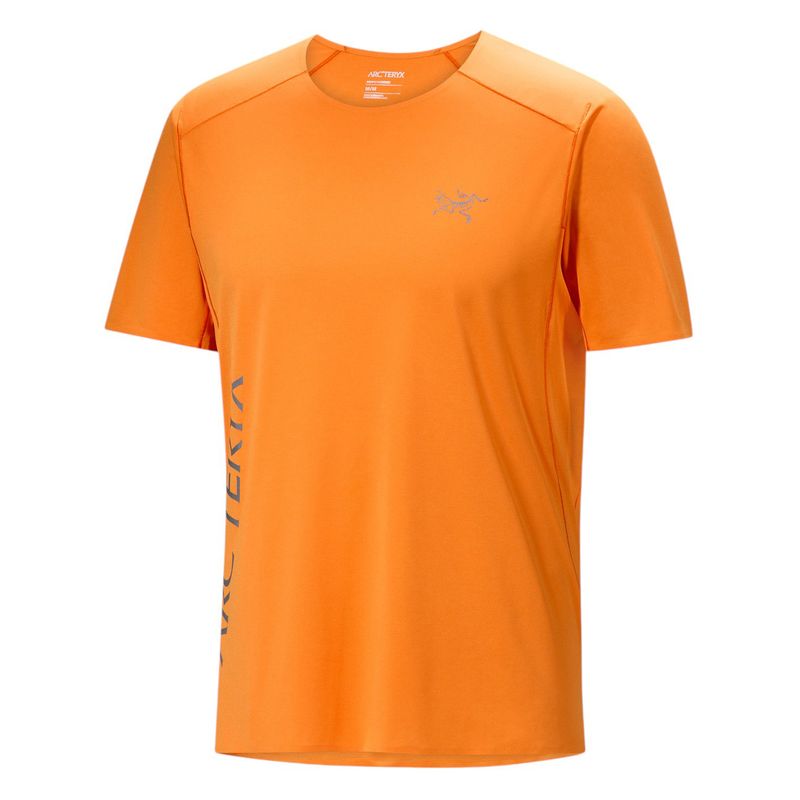 Arc'teryx Norvan Downword Logo SS Shirt - Men's Verve