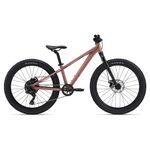 Liv-STP-24-Bike---2025-Petra-Clay