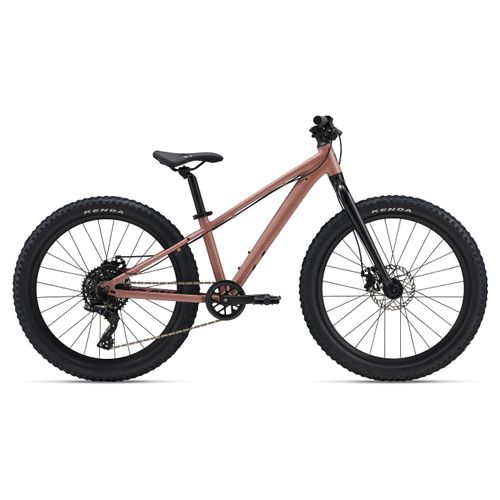 Liv STP 24 Bike - 2025