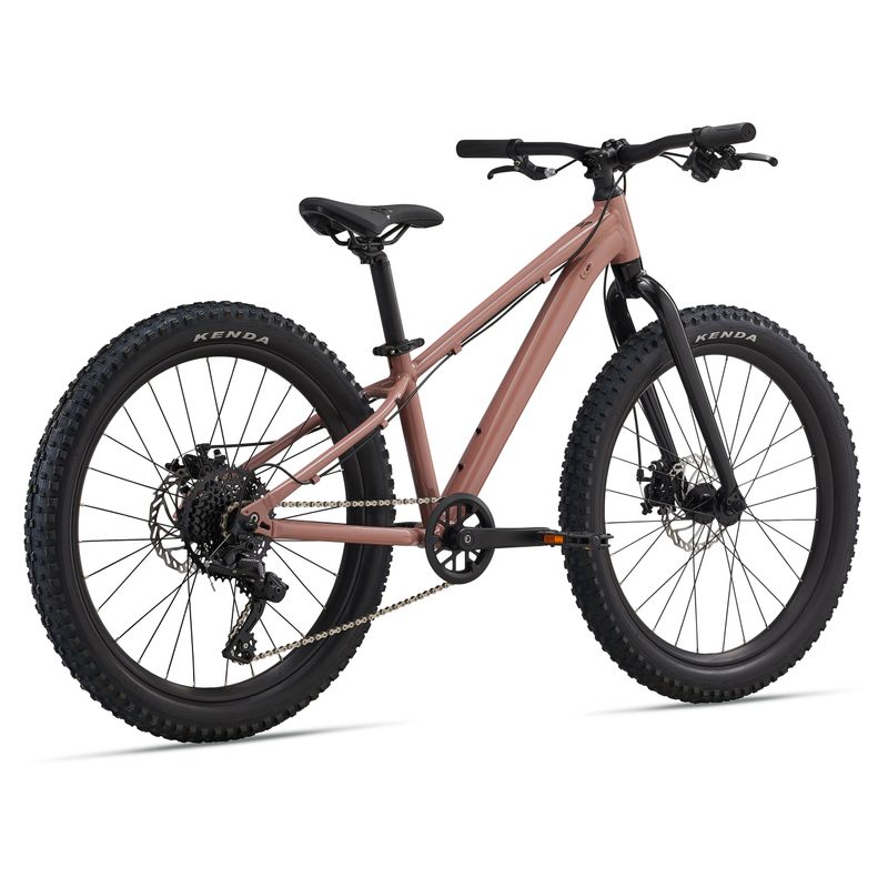 Liv-STP-24-Bike---2025-Petra-Clay