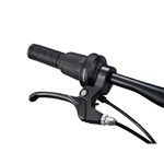 Liv-Tempt-24-Lite-Bike---2025-Black