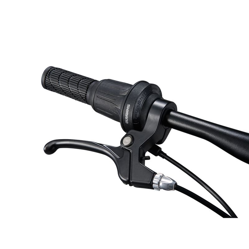 Liv-Tempt-24-Lite-Bike---2025-Black