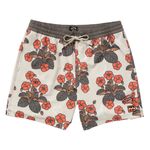 Billabong-Icons-Trunk---Men-s-Stone