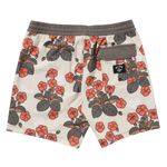 Billabong-Icons-Trunk---Men-s-Stone