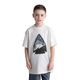 LIV Outdoor Short Sleeve Graphic Tee - Boys' Frost Arrowhead Bear