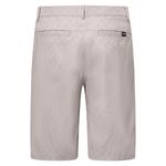 Oakley-Perf-Terrain-Grid-Short---Men-s-Neutral-Grey