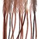Montana Fly Company Whiting (100 Pack) Brown