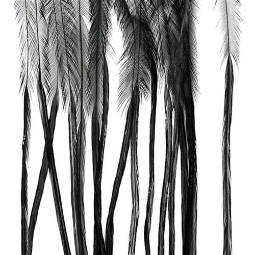Montana Fly Company Whiting (100 Pack)