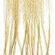Montana Fly Company Whiting (100 Pack) Light Ginger