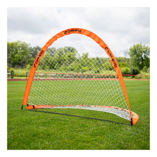 ALS Fold-Up Goal