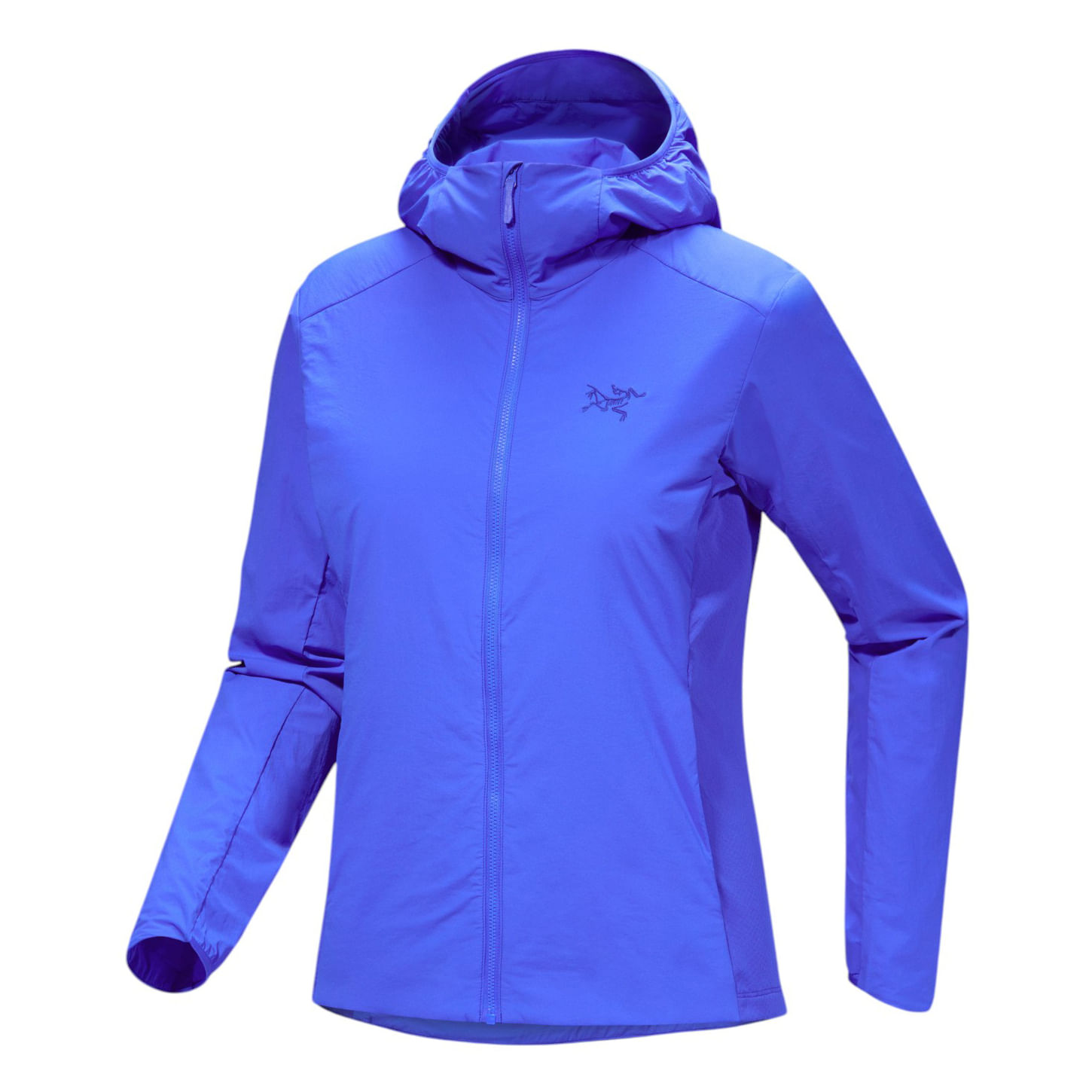 /arcteryx-atom-sl-hoodie-womens-10611570/p?skuId=3004468