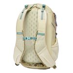 Cotopaxi-Elqui-Backpack---24L-Grain