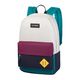 Dakine 365 Reversible Backpack - 21L Expedition