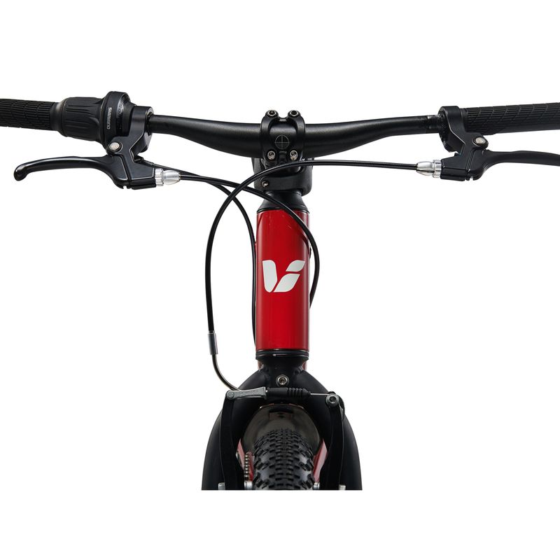 Liv-Tempt-20-Lite-Bike-2025---Kids--Dried-Chilli