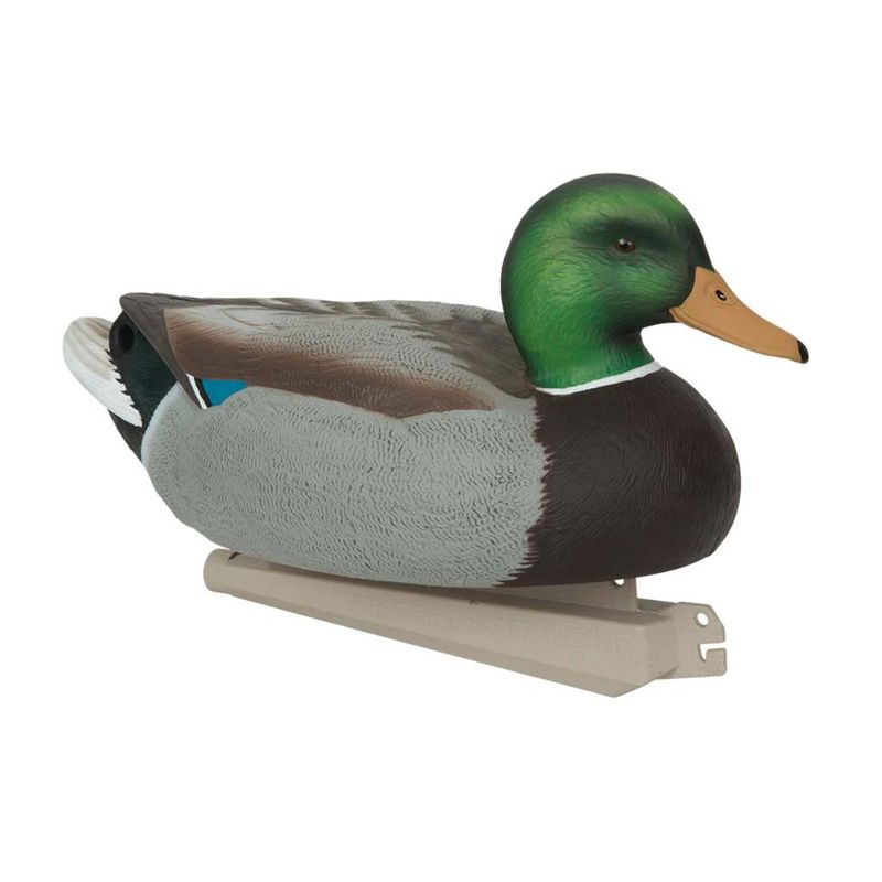 Avery-Essentials-Series-Mallard