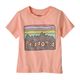 Patagonia Fitz Roy Skies T-Shirt - Toddler Sunlit Pink