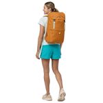 Patagonia-Fieldsmith-Lid-Pack-Golden-Caramel