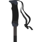 Atomic AMT SQS Ski Poles Black