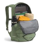 The-North-Face-Jester-Backpack-Bark-Mist---TNF-Black
