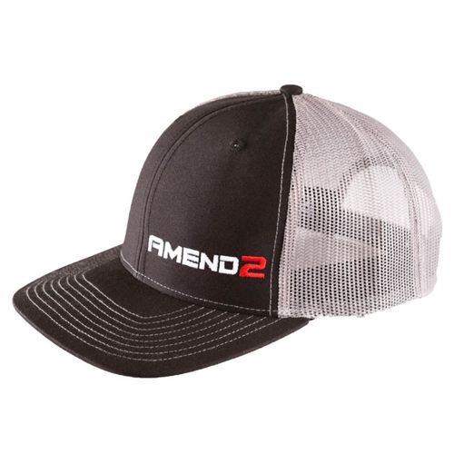 Amend2 Logo Premium Snapback Hat
