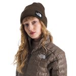 The North Face Salty Lined Beanie Smokey Brown