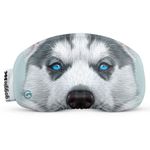 goggle-goggle-soc-Husky-561276