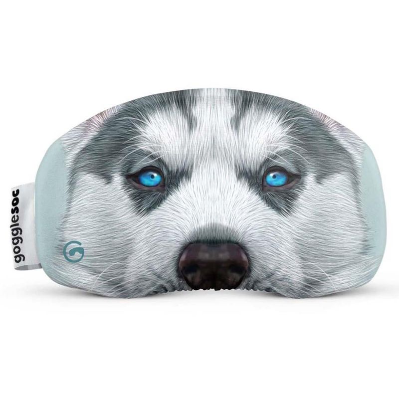 goggle-goggle-soc-Husky-561276