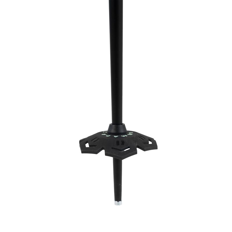 Armada AK Adjustable Ski Poles Blue / Green