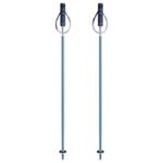 Yardsale Equipment Company P1 Resort Ski Poles Bluebird